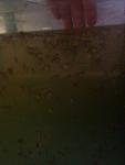 IMG 20130617 224120