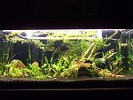 DSCF6204