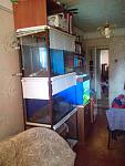 IMG 20130603 174450