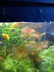 IMG 20130630 100509