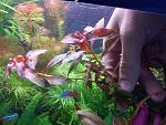IMG 20130630 100638