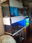 IMG 20130603 174331