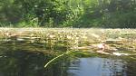 IMG 7485
