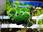 IMG 20130630 122432