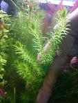 IMG 20130630 100245
