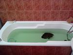 IMG 20130627 131707