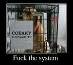 ������ �� �������