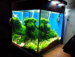 IMG 20130701 210321