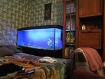 IMG 4866 