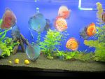 IMG 5178 