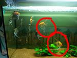 IMG 20130716 111248