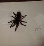 2013 07 10 21.31.54