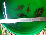 IMG 20130704 214922[1]