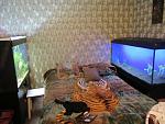 IMG 4868 