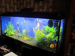 IMG 5099 