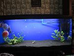 IMG 4888 