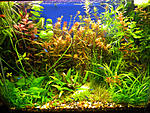DSCN0989