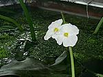 PIC 0783