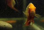 IMG 8493