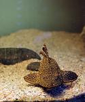 IMG 8513