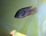 IMG 8520