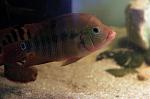 IMG 8578