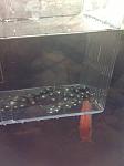 image (6)