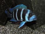 IMG 0333[1]