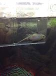 image (5)