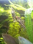IMG 20130212 185530