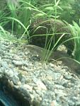 IMG 20130212 185619