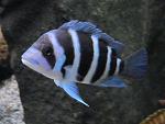 IMG 0385