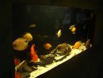 DSC00189