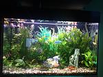 DSC 0109
