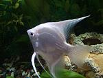 DSC 0105