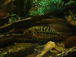 DSC00196
