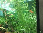 Photo 0064