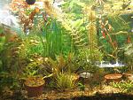 Photo 0062