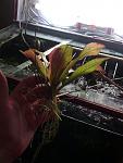 IMG 20130909 082949