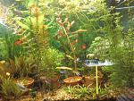 Photo 0063