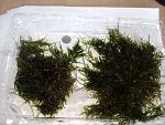 IMG 20130918 103706