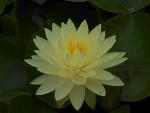 getImage (6)
