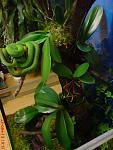 DSC00470