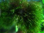 IMG 6431