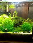 IMG 20130630 171415