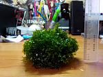 IMG 20131005 110625