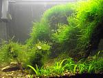 DSCF0383