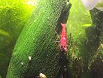 DSCF0368