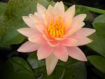 DSCN2979