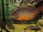 IMG 5099